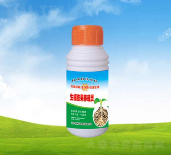 ������������`-���ؠ��r(n��ng)��