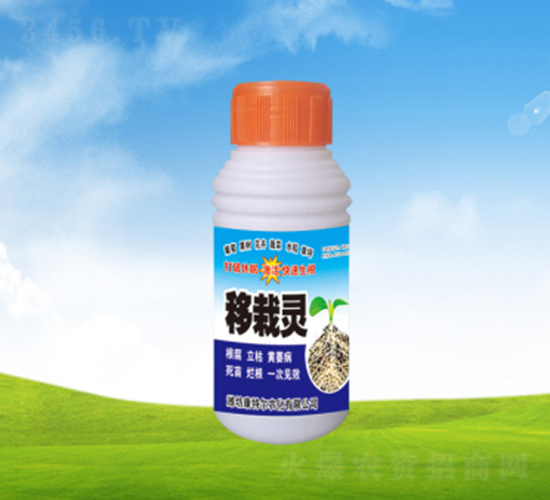 �����`-���ؠ��r(n��ng)��