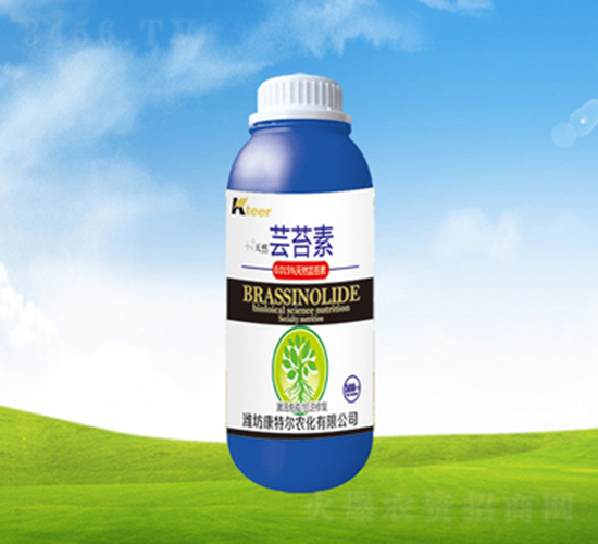 �|̦��-���ؠ��r(n��ng)��