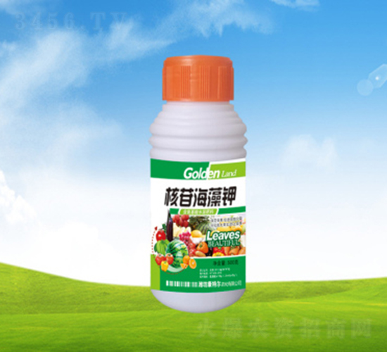 ���պ����-���ؠ��r(n��ng)��