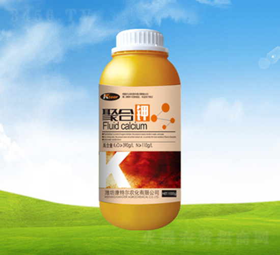 1000�˾ۺ��-���ؠ��r(n��ng)��