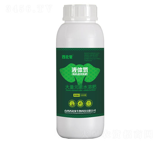 Һ�w��-������