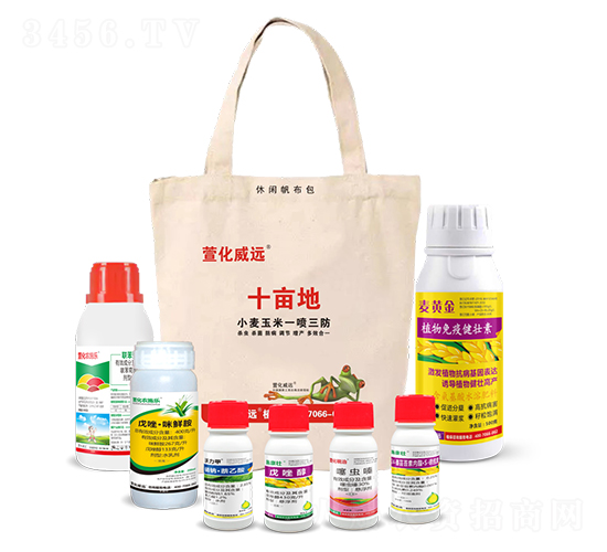 С������һ��������ʮ���أ�-�滯���h