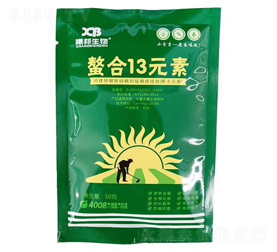 ����13Ԫ��-�ذ�����