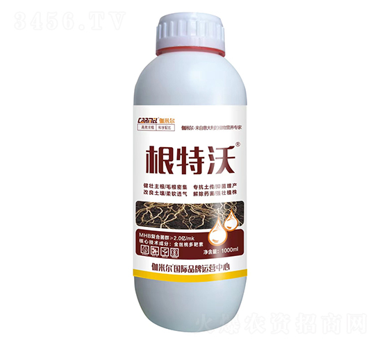 ������-٤�נ�-�_˼ķ