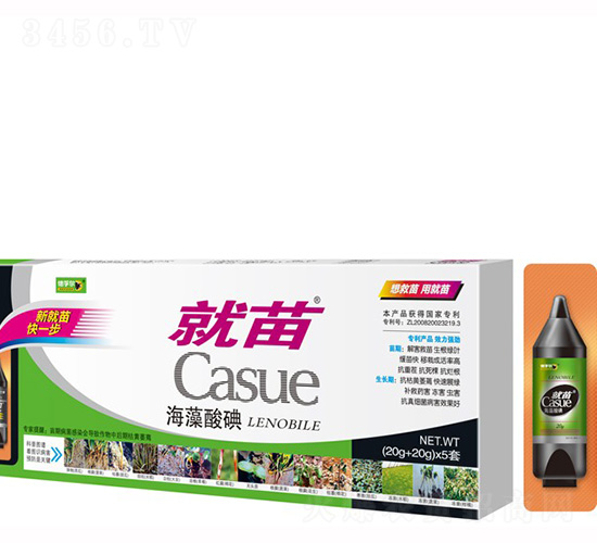 �������-����-���ڠ�