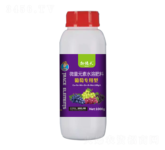 ���ь�(zhu��n)��΢��Ԫ��ˮ�ܷ�-�ӵ·�-��Ⱥ�r(n��ng)�I(y��)