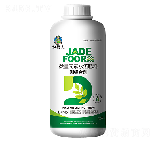 ���f�τ�-�ӵ·�-��Ⱥ�r�I(y��)