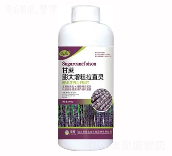 1000g�������������ֱ�`-�sҫ�r(n��ng)�I(y��)