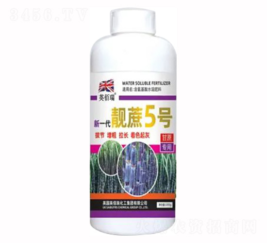 1000g��һ���n��5̖(h��o)-�sҫ�r(n��ng)�I(y��)