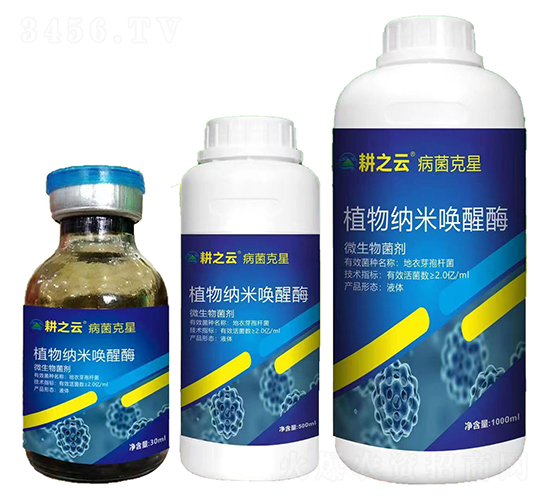 ��������-ֲ��{�׆���ø-�ʢ����