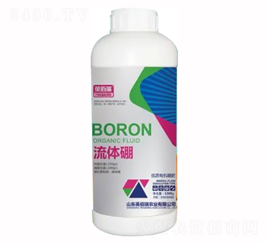 1300g��(y��u)�|�ЙC���-���w��-Ӣ����-�sҫ�r(n��ng)�I(y��)