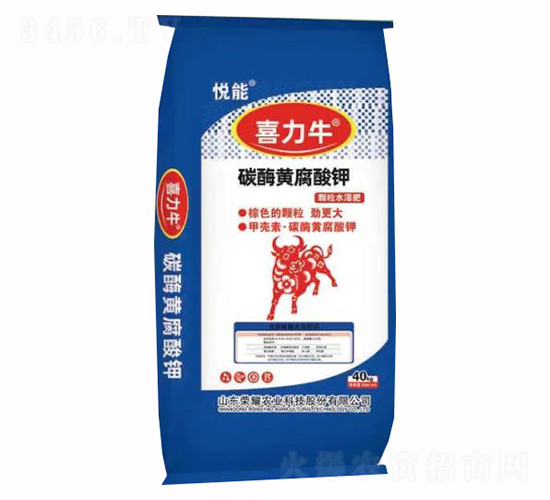 ̼ø�S�����-ϲ��ţ-�sҫ�r(n��ng)�I(y��)