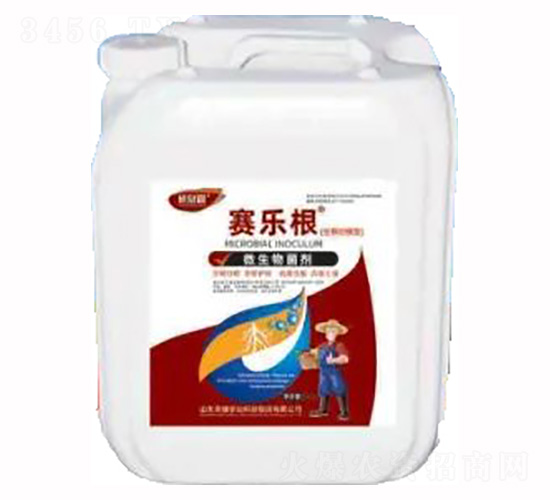 ِ��(l��)��-΢�������-�sҫ�r(n��ng)�I(y��)