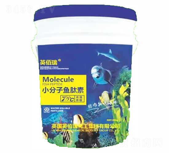 С�����~����-�sҫ�r�I(y��)