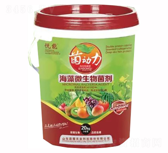 ����΢�������-�sҫ�r(n��ng)�I(y��)