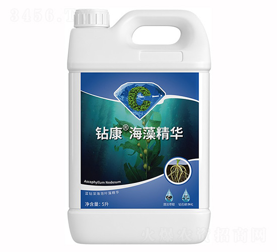 5���@�����徫�A-��ţ�r(n��ng)�I(y��)