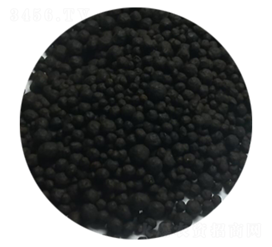 �l�����ЙC�o�C��(f��)���5-5-5-�|�����B(t��i)