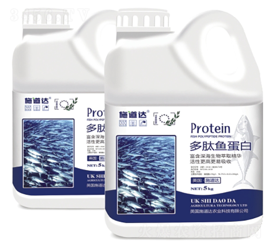 �����~����-ʩ���_