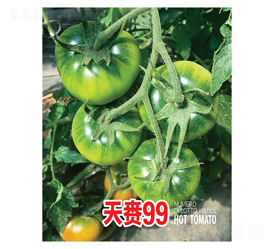 ���l99-���r(n��ng)����(chu��ng)