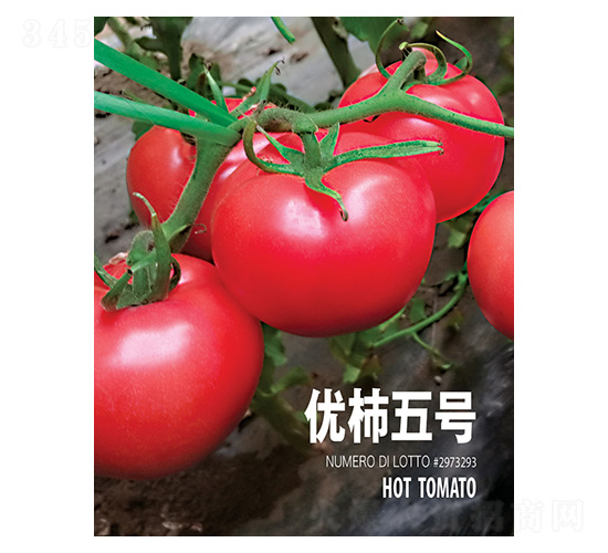 ��(y��u)����̖(h��o)-���r(n��ng)����(chu��ng)