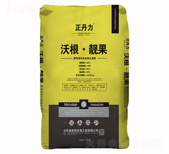 �ָ����n��-������-���P�