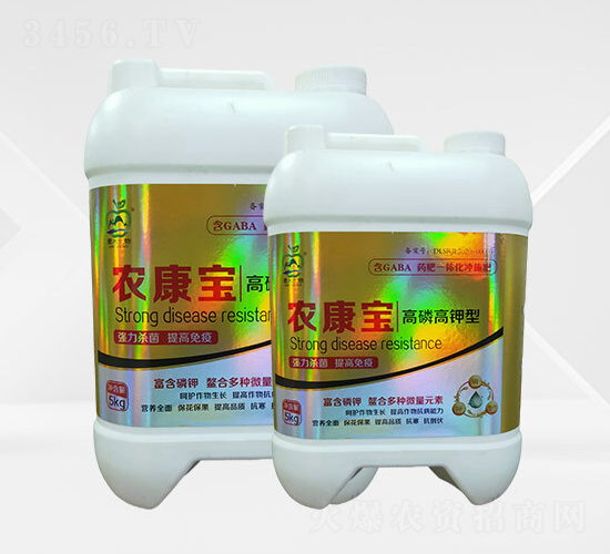 ���׸����-�r����-�ٴ�