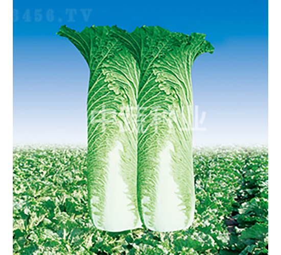 �а�76-�ײ˷N��-���߷N�I(y��)