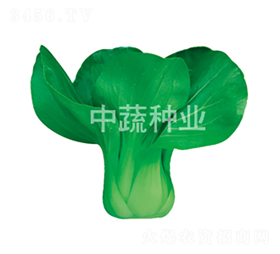 �G�M(m��n)�R-�ײ˷N��-���߷N�I(y��)