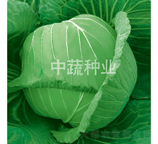 �и�9̖-���{�N��-���߷N�I(y��)