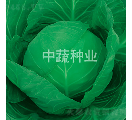 �и�16̖-���{(l��n)�N��-���߷N�I(y��)