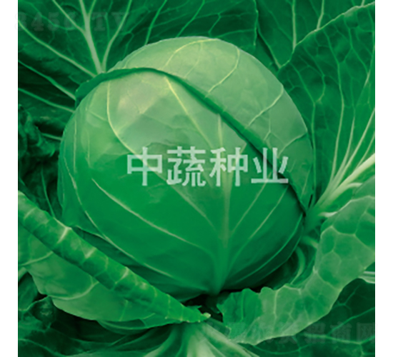 YR�и�21-���{�N��-���߷N�I(y��)