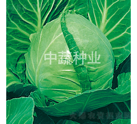 �и�17-���{(l��n)�N��-���߷N�I(y��)