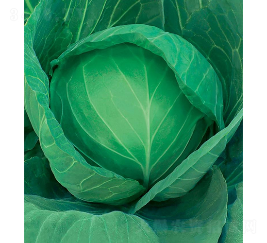 �и�605-���{(l��n)�N��-���߷N�I(y��)