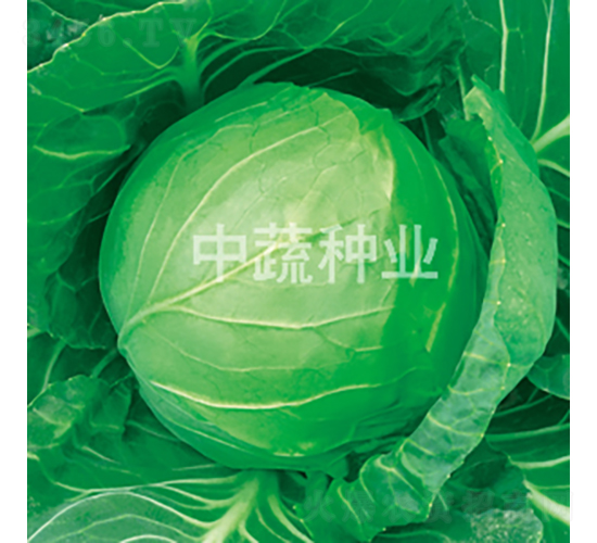 �и�28-���{�N��-���߷N�I(y��)