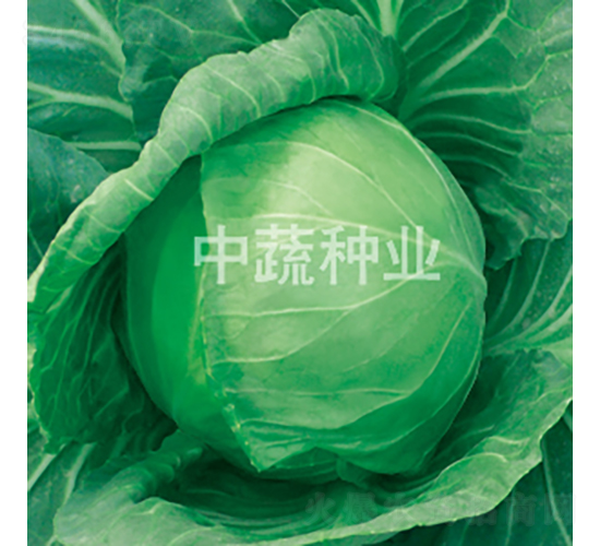 �и�301-���{�N��-���߷N�I(y��)