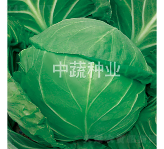 �и�628-���{(l��n)�N��-���߷N�I(y��)