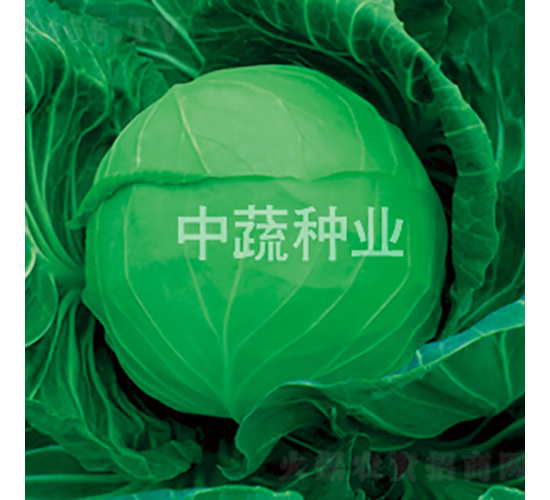 �и�192-���{(l��n)�N��-���߷N�I(y��)