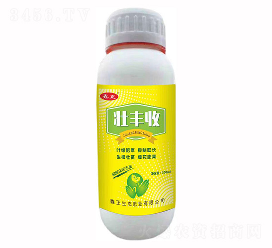 ���S��-ҫѸ�w�r(n��ng)�I(y��)