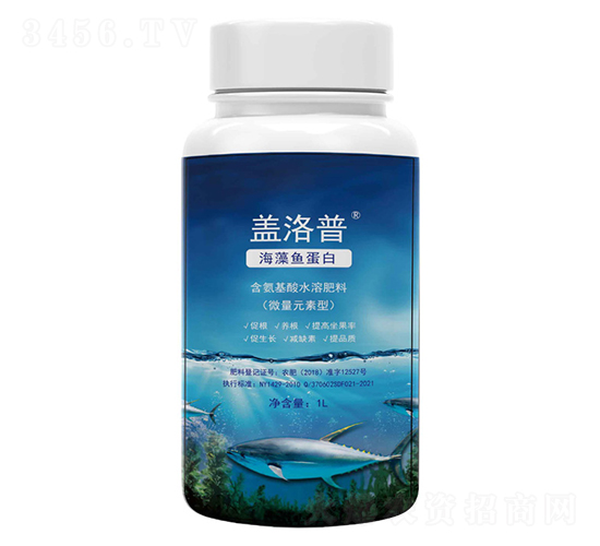 �����~����-�w����-�κ��r�I(y��)