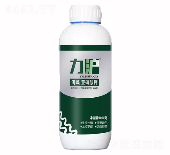 ���偆�����-��������