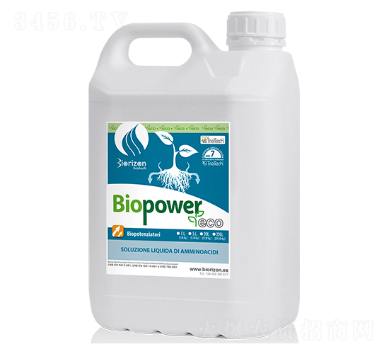 ����̼���-�ۏ���-�����m��