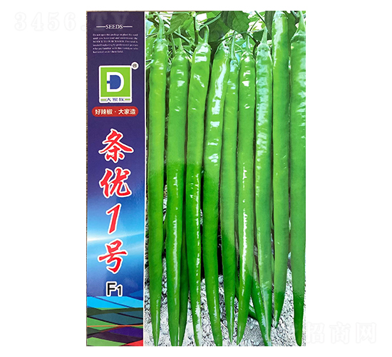 �l��(y��u)һ̖-�����N��-�����N�I(y��)