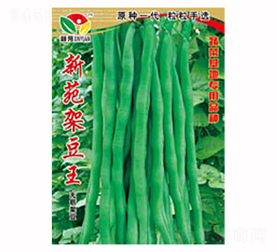 ��Է�ܶ���-�κ��r(n��ng)�I(y��)