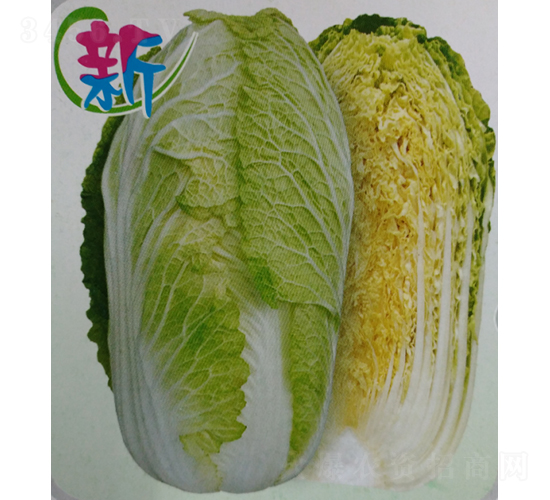 CR����602��ײ�-�ײ˷N��-�V��