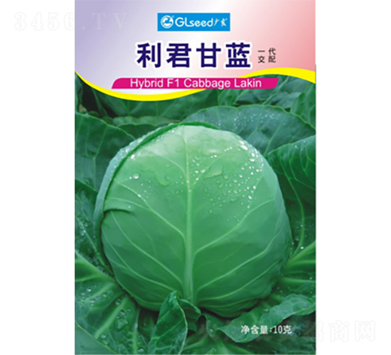 �������{(l��n)-���{(l��n)�N��-�V��