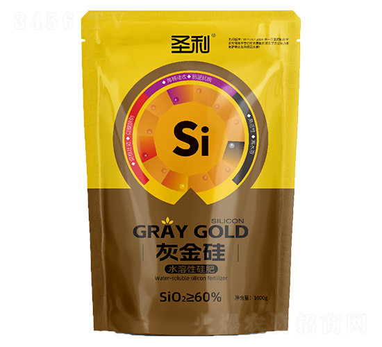 �ҽ��-ʥ��-�����r(n��ng)�I(y��)