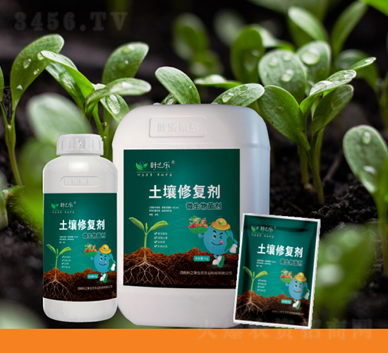 �����ޏ�(f��)��-�~֮��-�~������