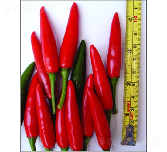 GL-6̖(h��o)���콷-�����N��-�V��