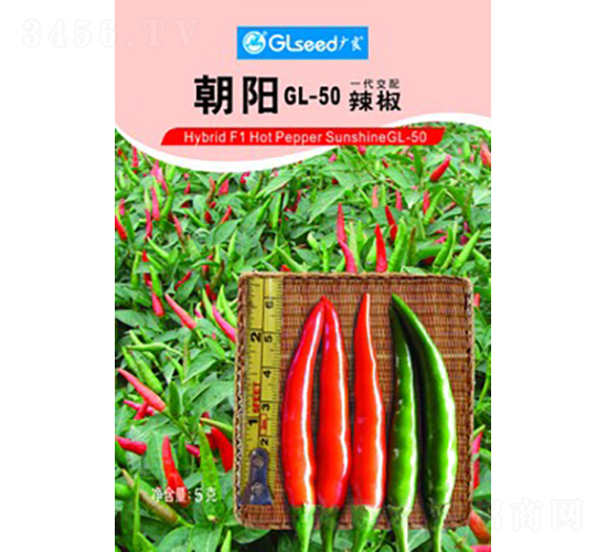 ���GL-50����-�����N��-�V��